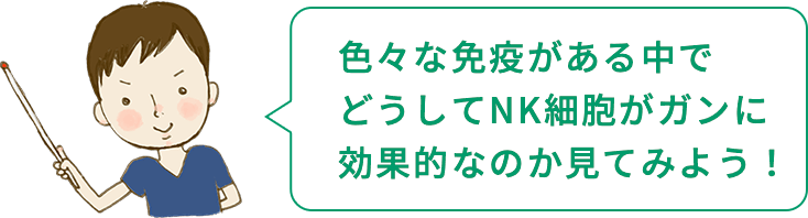色々な免疫がある中でどうしてNK細胞がガンに効果的なのか見てみよう!