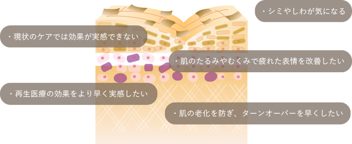 シミやしわが気になる・肌のたるみやむくみで疲れた表情を改善したい・肌の老化を防ぎ、ターンオーバーを早くしたい