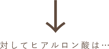 対してヒアルロン酸は…
