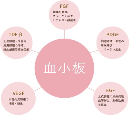 PRP成分に含まれる成長因子の効能