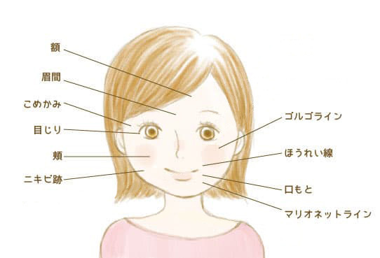 イラスト:幹細胞による肌再生医療が適応となる箇所