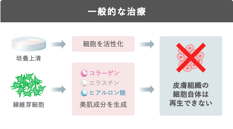 一般的な治療:皮膚組織の細胞自体は再生できない