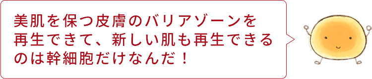 talk saibou01 sp