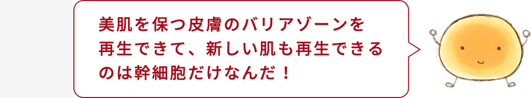 細胞くん「美肌を保つ皮膚のバリアゾーンを再生できて、新しい肌も再生できるのは幹細胞だけなんだ!」