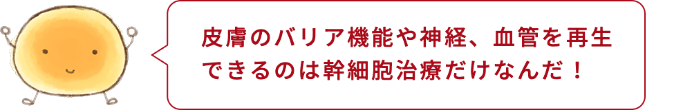 細胞くん「皮膚のバリア機能や神経、血管を再生できるのは幹細胞治療だけなんだ!」