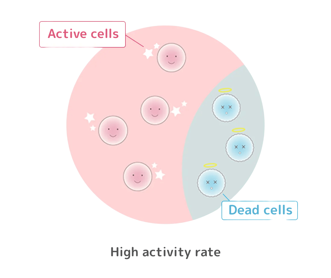 当院の幹細胞培養,高い活動率