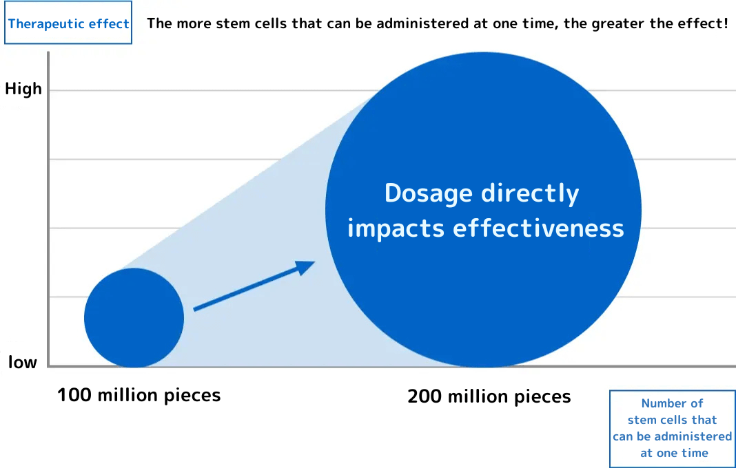 幹細胞の投与量が多いほど効果に直結！