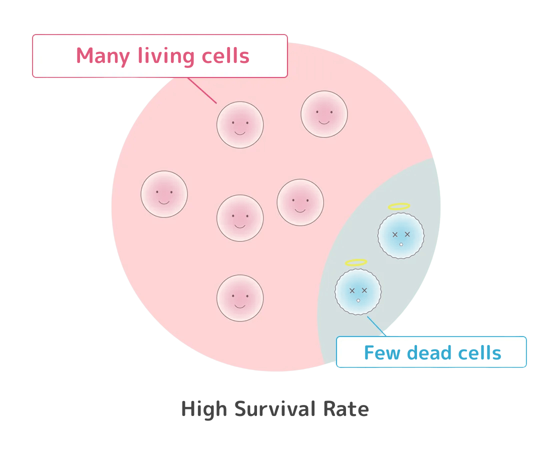 当院の幹細胞培養,高い生存率