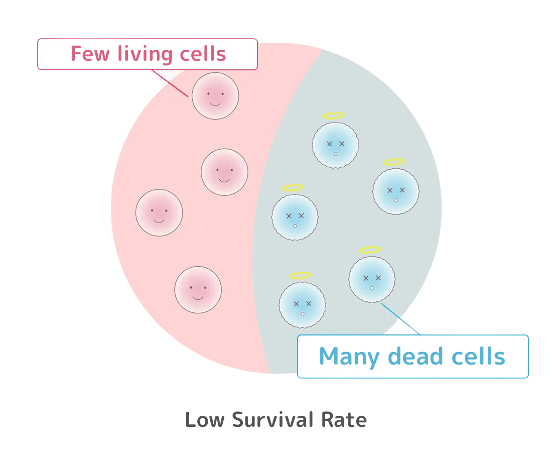 一般的な培養,低い生存率