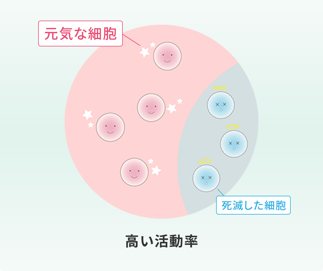 当院の幹細胞培養,高い活動率