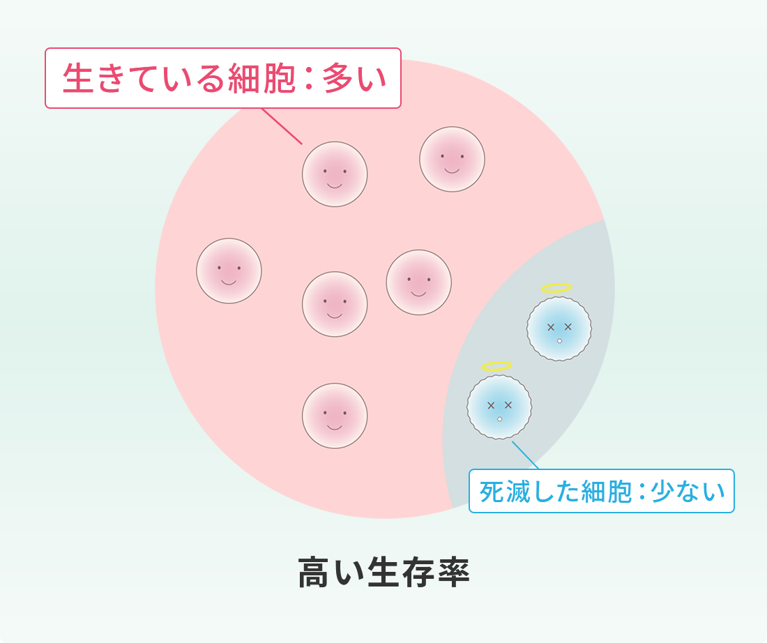 当院の幹細胞培養,高い生存率