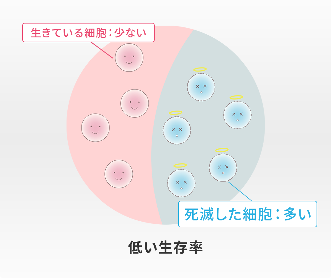 一般的な培養,低い生存率