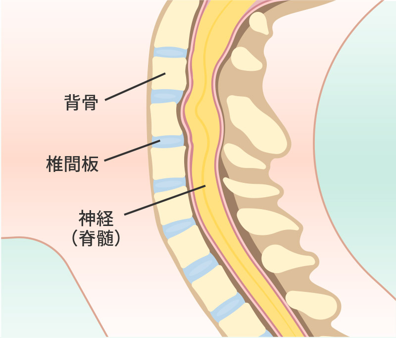 正常