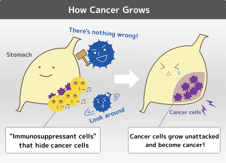 ガンが増殖するしくみ