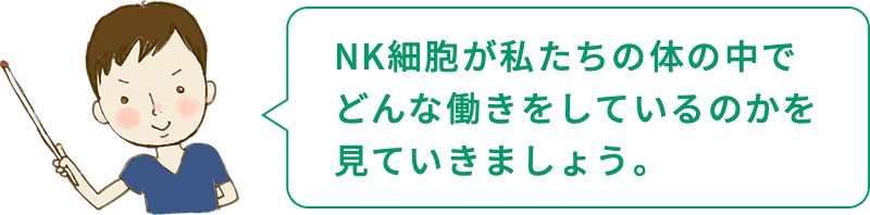 坂本くん「NK細胞が私たちの体の中でどんな働きをしているのかを見ていきましょう。」