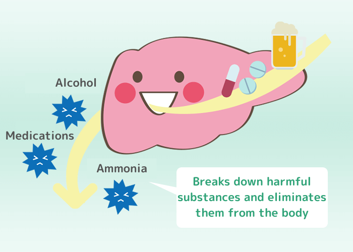 有害物質を分解して体外に排出
