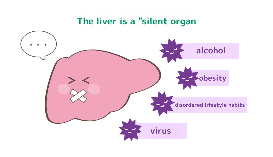 肝臓は「沈黙の臓器」