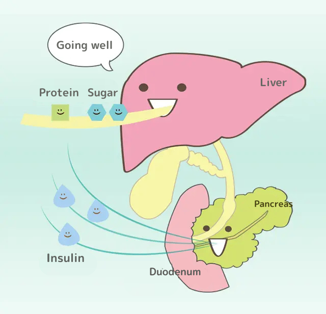 肝臓くん「順調~」