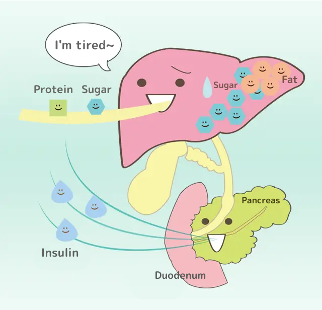 肝臓くん「疲れた~」
