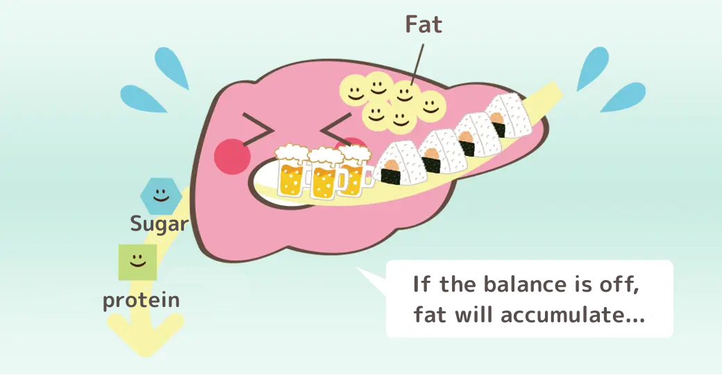 バランスが崩れると脂肪がたまっちゃうよ…