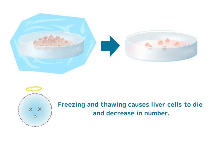 冷凍から解凍することで幹細胞が死滅、減少する