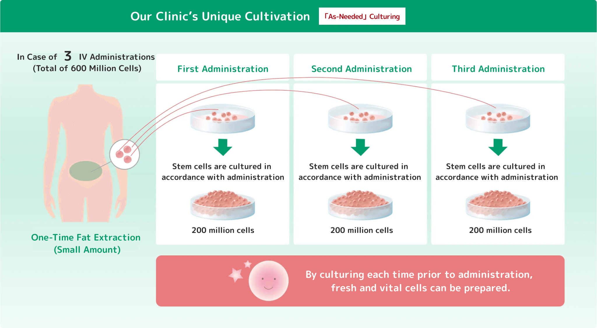 当院独自の培養,「その都度」培養