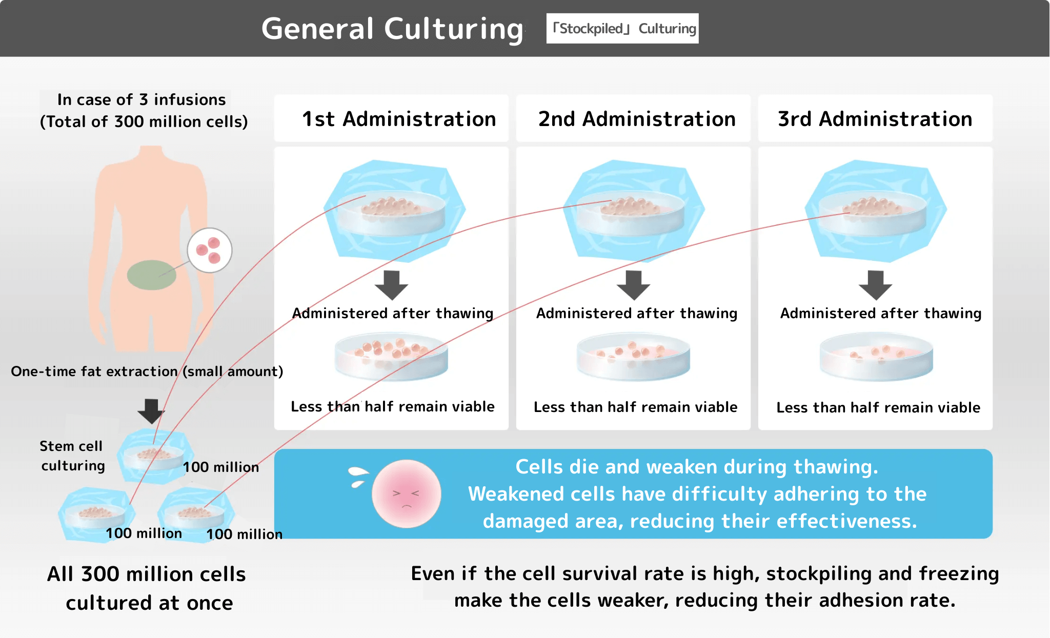 当院独自の培養,「その都度」培養