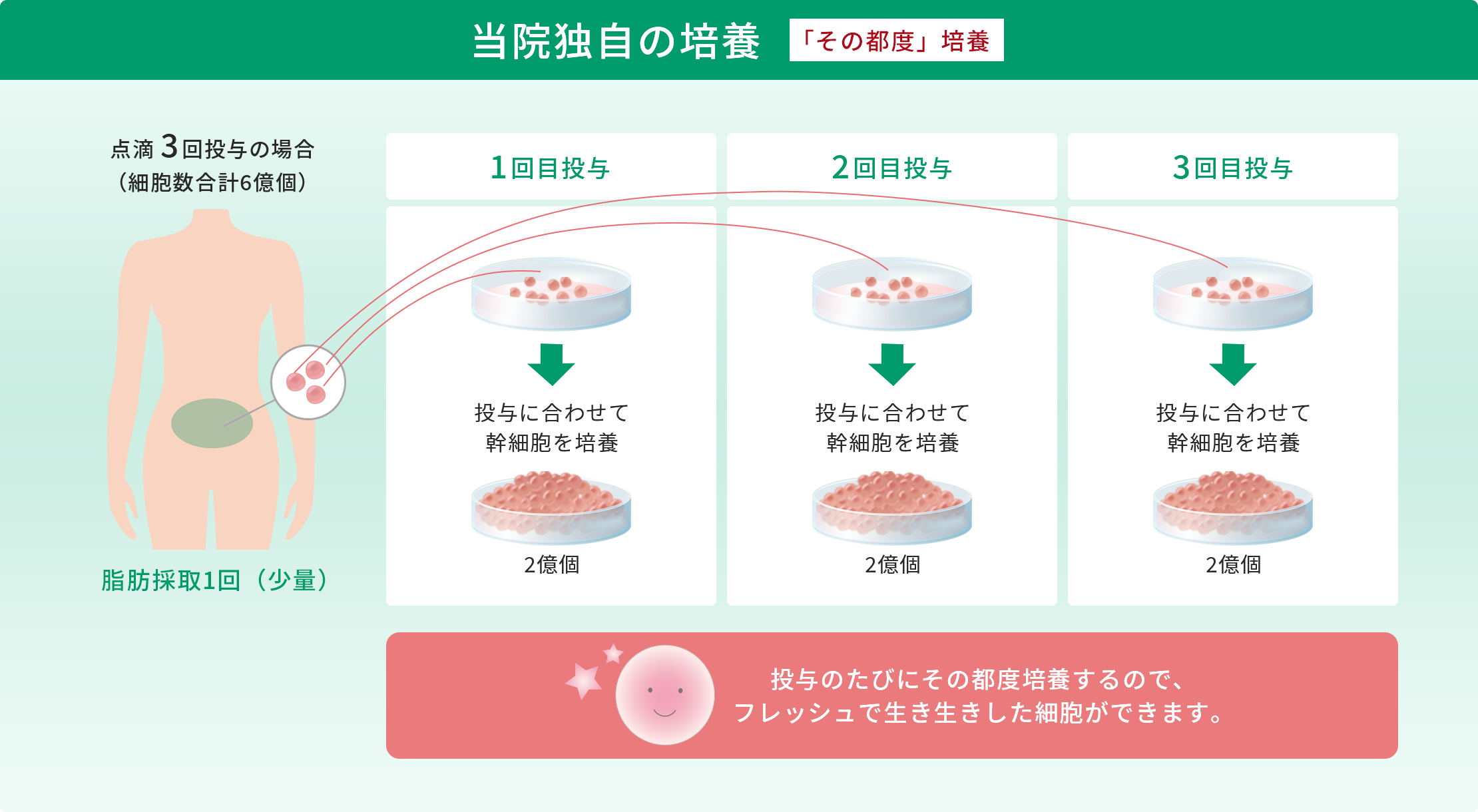 当院独自の培養,「その都度」培養