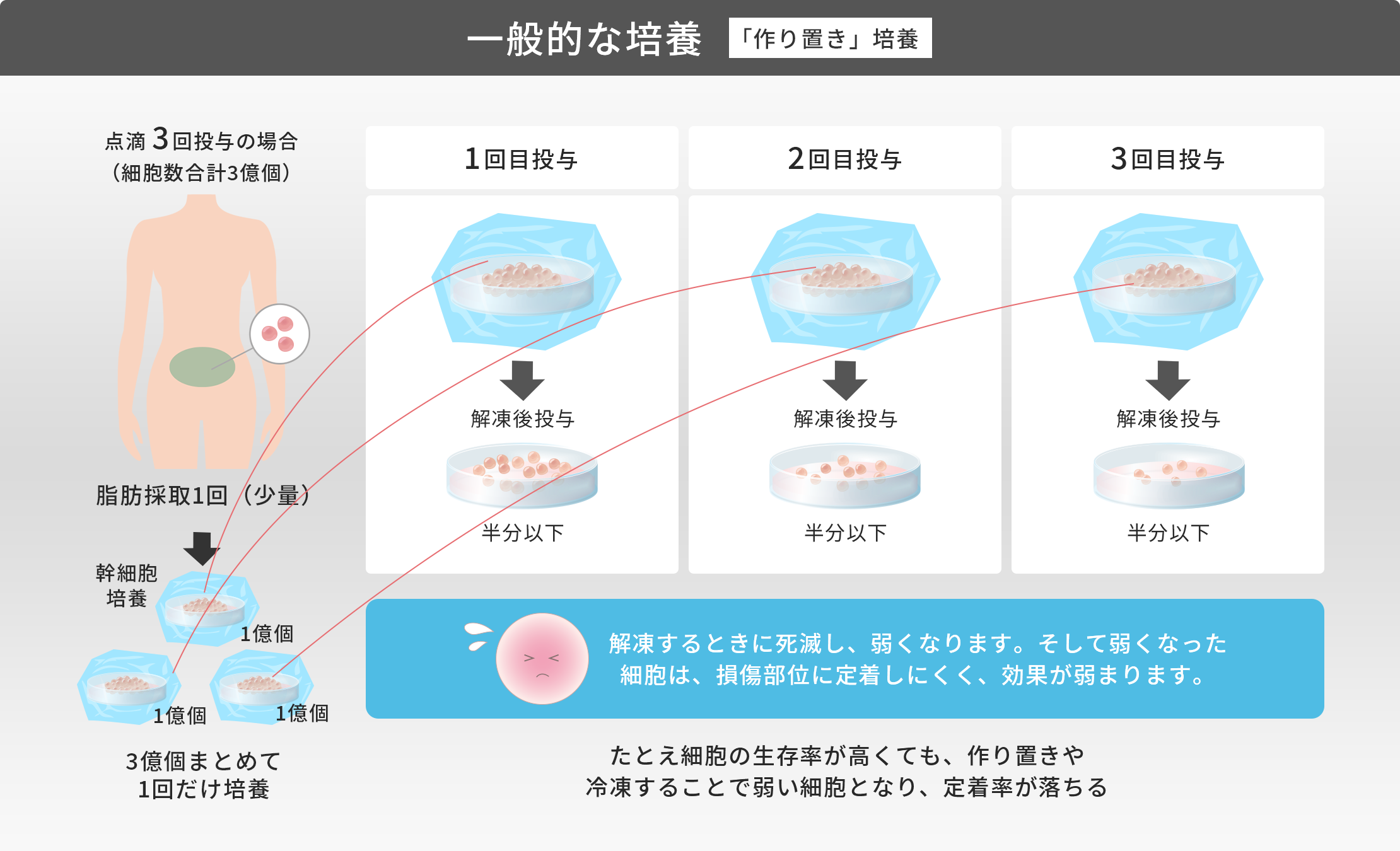 当院独自の培養,「その都度」培養