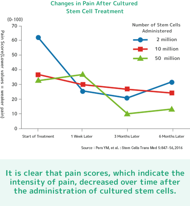 培養幹細胞治療後の痛みの変化