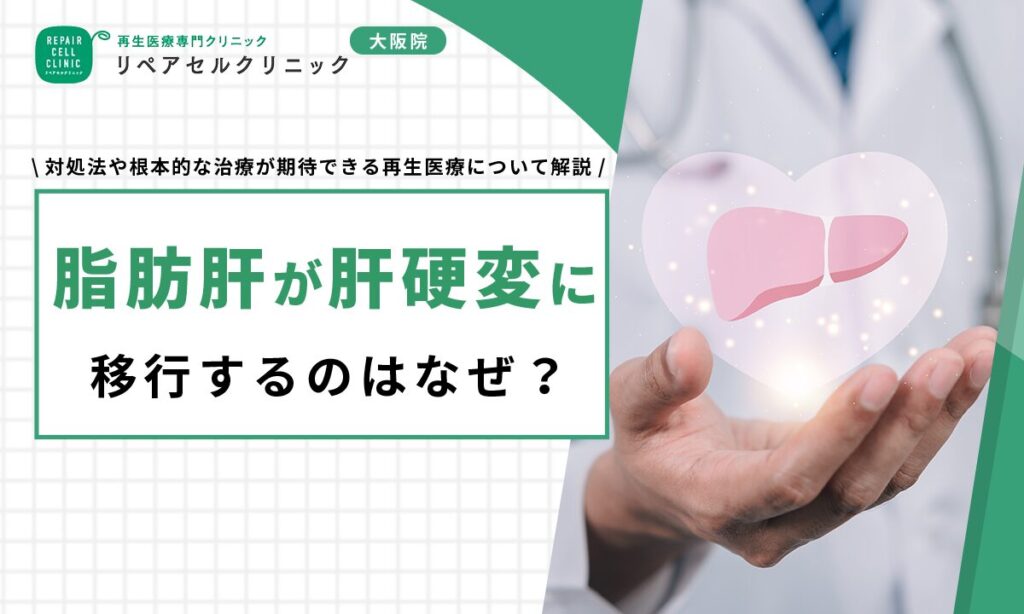 脂肪肝が肝硬変に移行するのはなぜ?対処法や根本的な治療が期待できる再生医療について解説