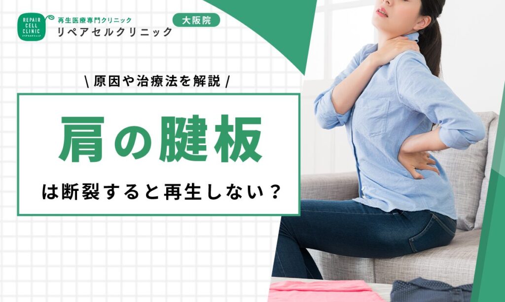 肩の腱板は断裂すると再生しない?原因や治療法を解説
