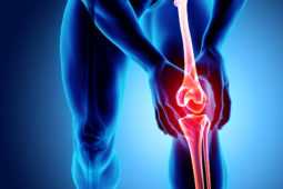 変形性膝・股関節症の幹細胞治療