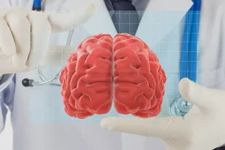 脳卒中の再生医療(脳梗塞･脳出血)・幹細胞治療