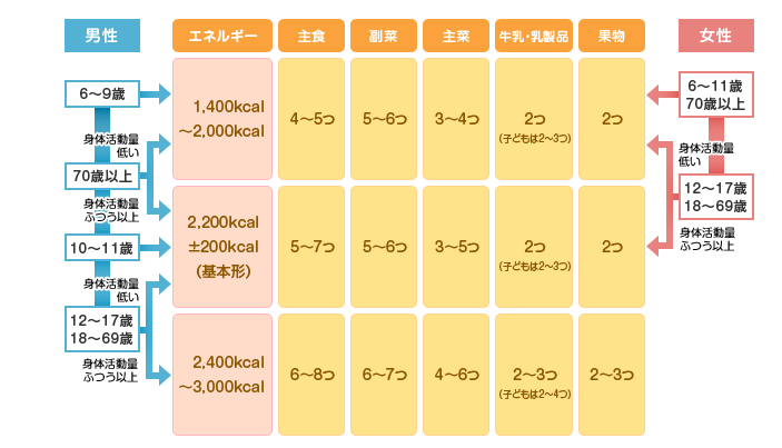 活動量に応じた摂取量