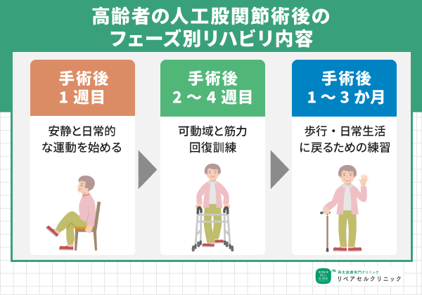 高齢者の人工股関節術後（THA）のフェーズ別リハビリ内容