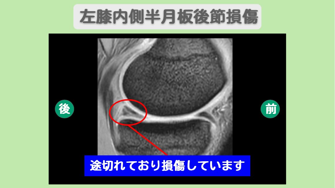 f4ffc4cb7f65949e66012341a47797b2