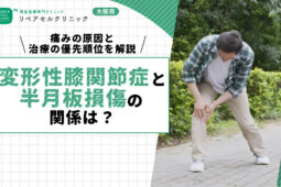 変形性膝関節症と半月板損傷の関係は？痛みの原因と治療の優先順位を解説