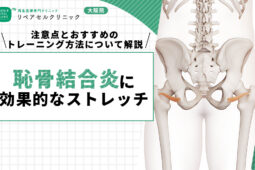 恥骨結合炎に効果的なストレッチ4選｜注意点とおすすめのトレーニング方法について解説