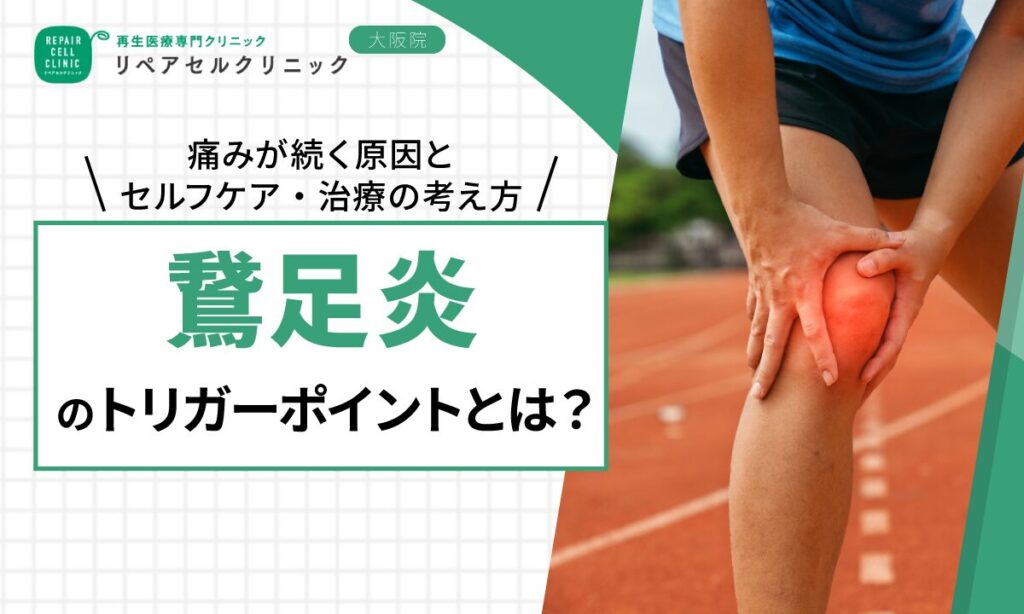 鵞足炎のトリガーポイントとは?痛みが続く原因とセルフケア・治療の考え方