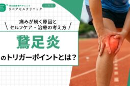 鵞足炎のトリガーポイントとは？痛みが続く原因とセルフケア・治療の考え方