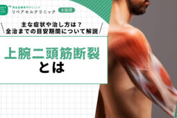 上腕二頭筋断裂とは｜主な症状や治し方は？全治までの目安期間について解説【医師監修】