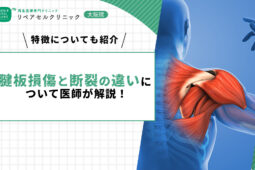 腱板損傷と断裂の違いについて医師が解説!特徴についても紹介