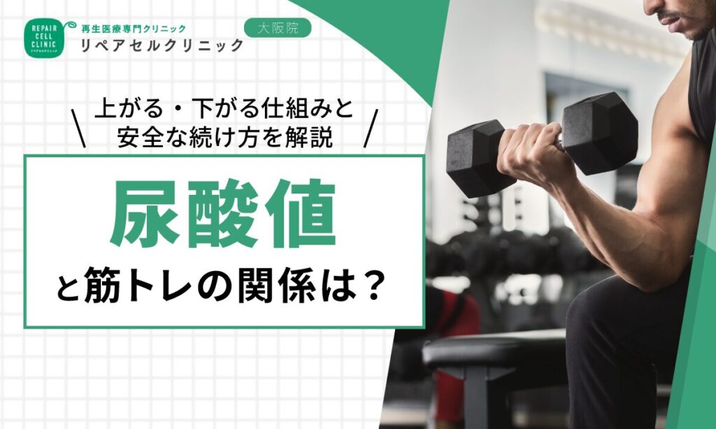 尿酸値と筋トレの関係は?上がる・下がる仕組みと安全な続け方を解説