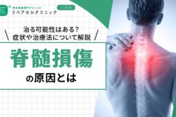 脊髄損傷の原因とは|治る可能性はある?症状や治療法について解説【医師監修】