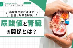 尿酸値と腎臓の関係とは?高尿酸血症が及ぼす影響と対策を解説