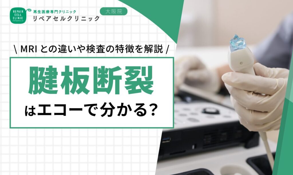 腱板断裂はエコーで分かる？MRIとの違いや検査の特徴を解説