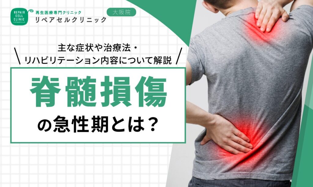 脊髄損傷の急性期とは｜主な症状や治療法・リハビリテーション内容について解説