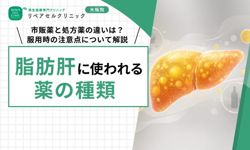 脂肪肝に使われる薬の種類｜市販薬と処方薬の違いは？服用時の注意点について解説