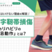 後十字靭帯損傷のリハビリの「禁忌動作」とは?やってはいけない理由を解説